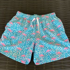 Chubbies Men’s Swim Trunks Medium 5.5 inches
